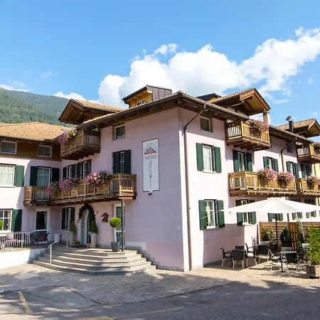 מלון Alp Dolomiti 3*